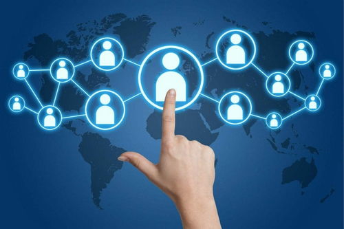 洪湖网络推广 免费试用100天，每月前300名专享技术推广服务