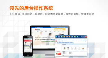 网络推广服务 易畅科技如何推动您的业务增长